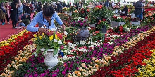 نمایشگاه گل و گیاه اصفهان - کلاب رنتر